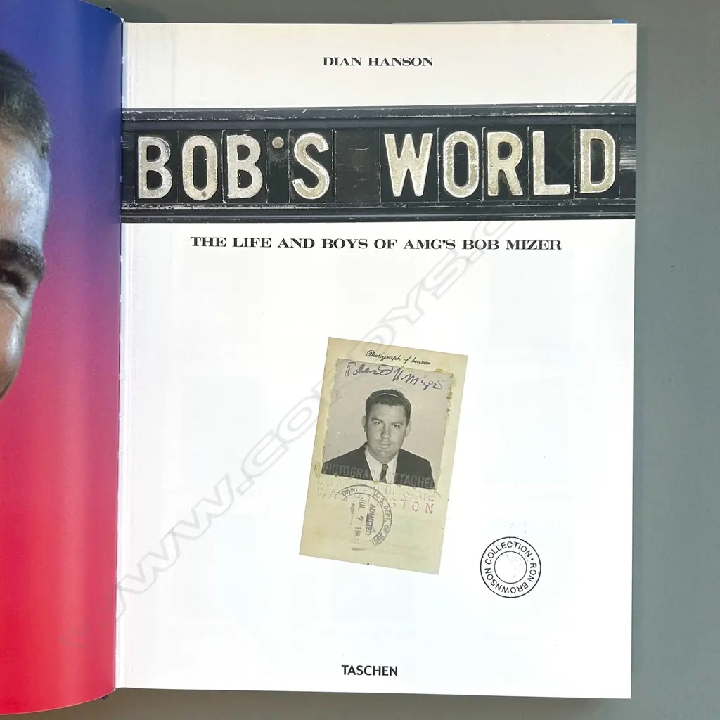 DIAN HANSON: BOB'S WORLD Image 1++